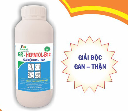 GR - HEPATOL - B12